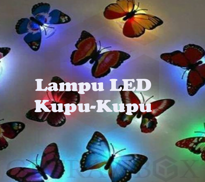 lampu warna warni