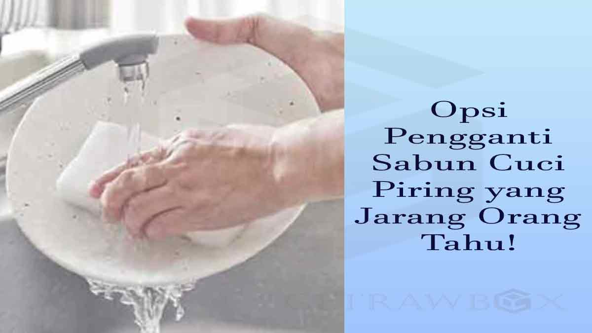 Pengganti Sabun Cuci Piring