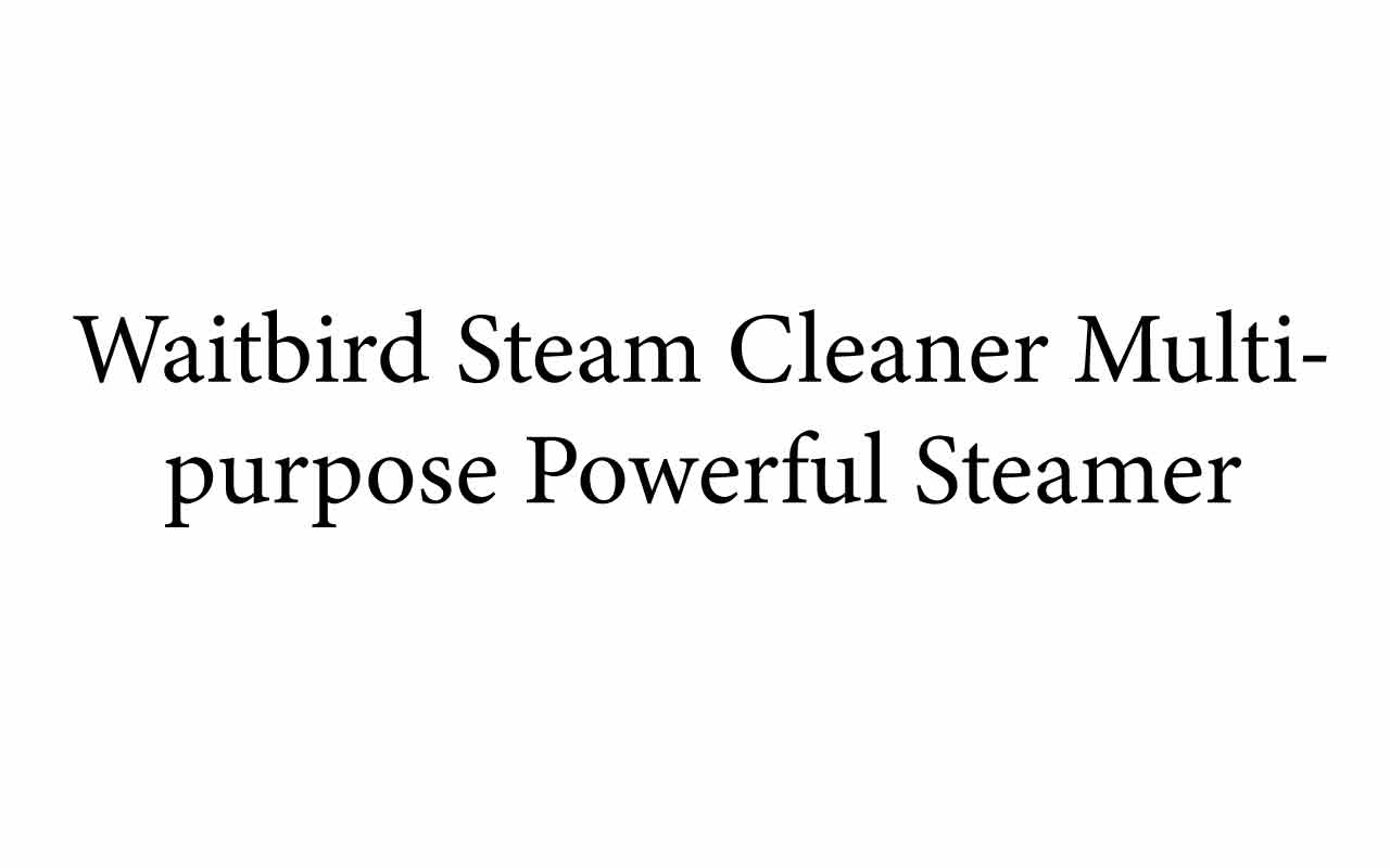 Waitbird Steam Cleaner Multipurpose Powerful Steamer